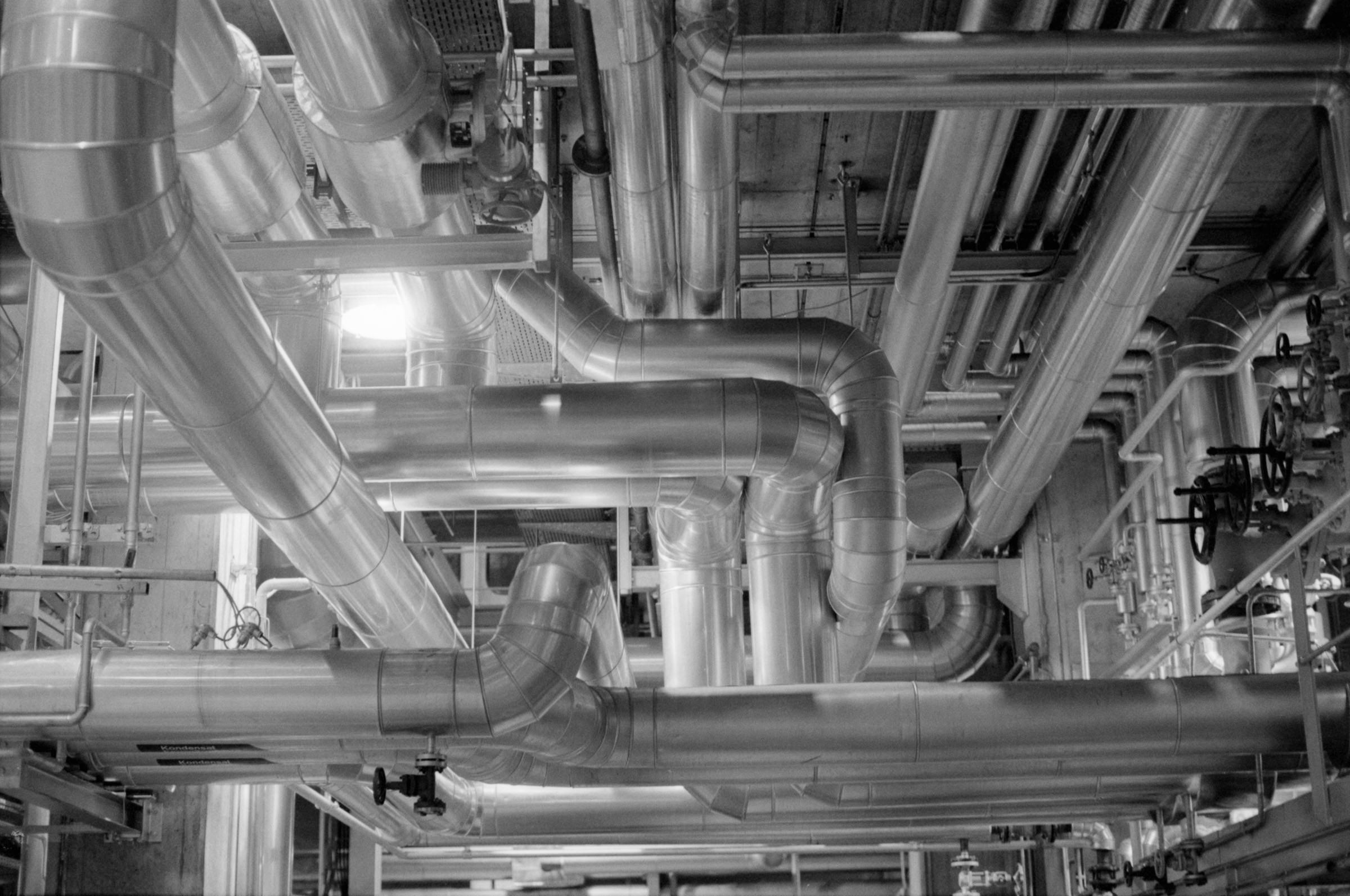 AHP F1994 11 005 sc250521 img04 NLP